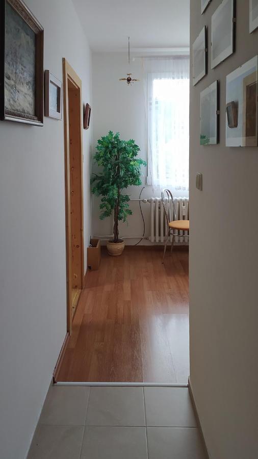 Apartman V Srní Exteriör bild